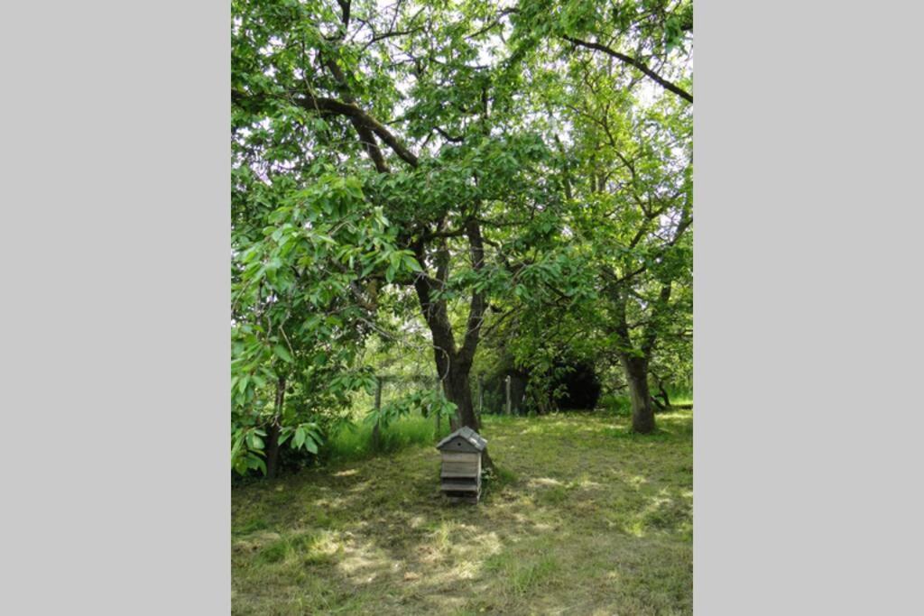 Miller'S Farm. Cottage On The Auhtie For 2 Hem-Hardinval Eksteriør billede